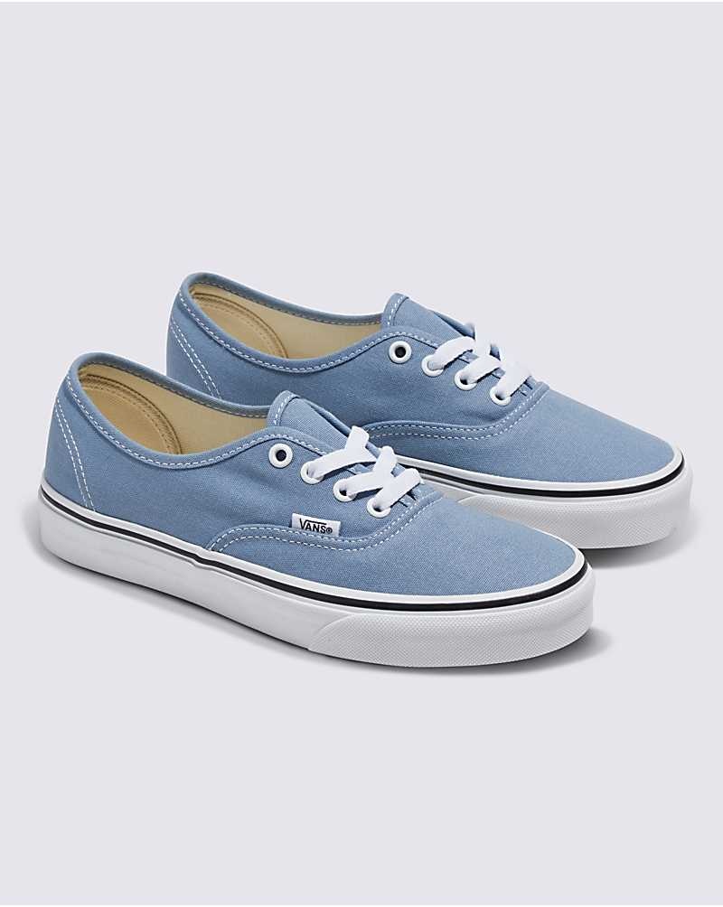 Vans Authentic Ayakkabı Erkek Mavi | Türkiye NIH354798