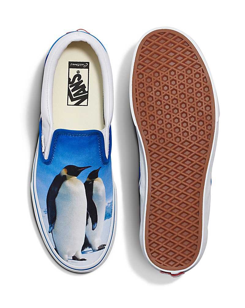 Vans Customs Image Library Penguin Slip-On Ayakkabı Erkek Mavi | Türkiye PVH734105