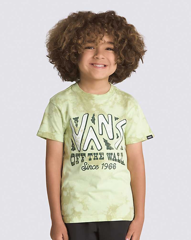 Vans Küçük Çocuk Yürüyüş Head Tie Dye Tişört Çocuk Yeşil | Türkiye EZD852706